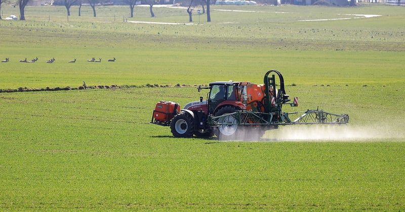 Roundup Ultra Plus : l'allié incontournable pour un jardin impeccable