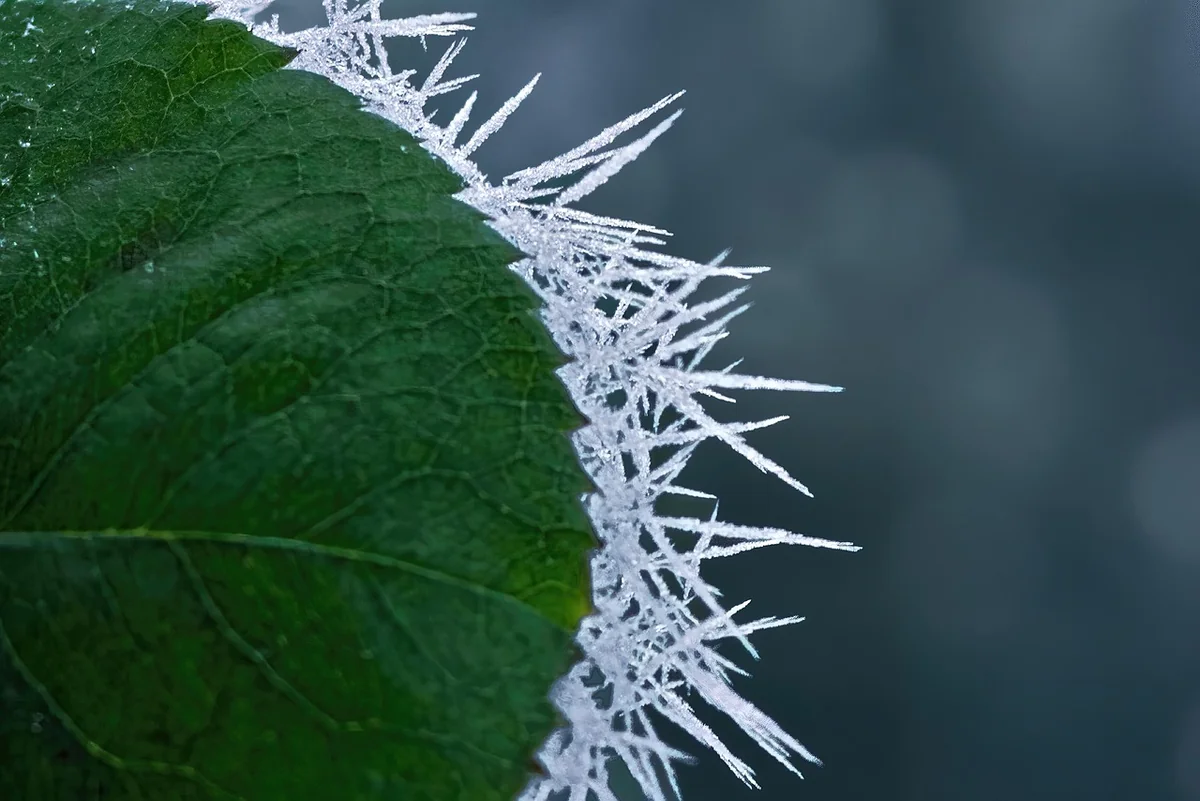 Quand le froid est le coupable (le cas le plus fréquent en hiver)