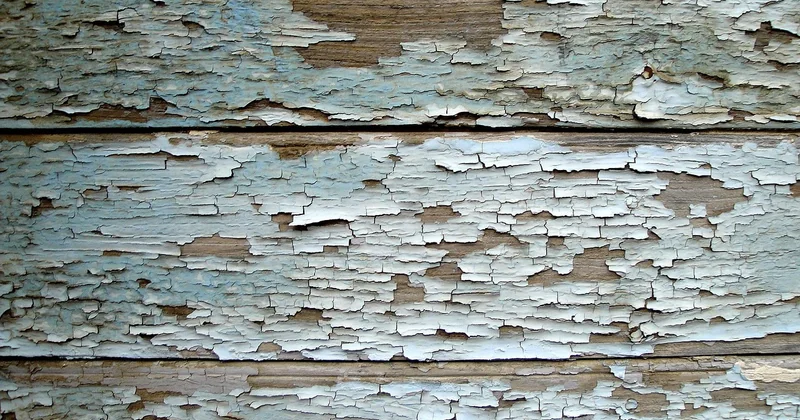 Préparer le support : tempera sur bois, et pourquoi la toile pose problème