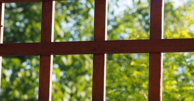 Pergola Brico Dépôt : le guide pour bien choisir sans se tromper