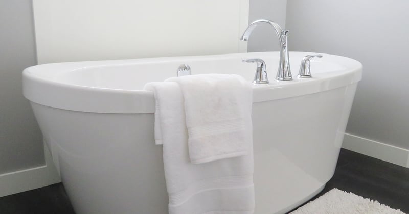 Vers dans les toilettes après absence : pourquoi et que faire