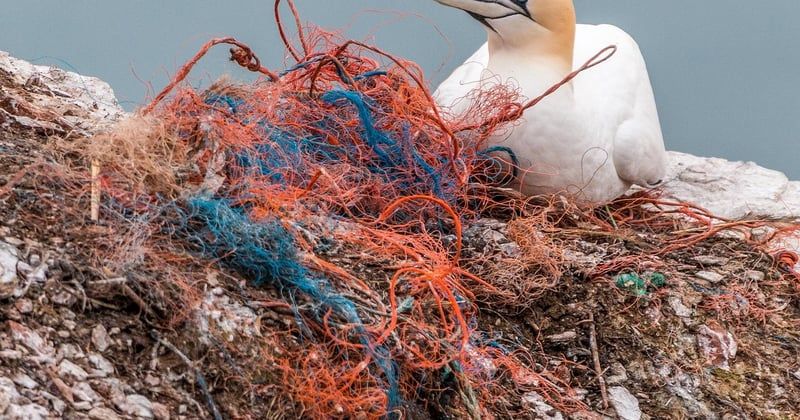 L'équerre plastique : l'outil indispensable pour vos projets de bricolage