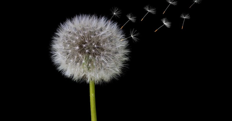 Comment faire chauffer une bouillotte sèche sans micro-ondes